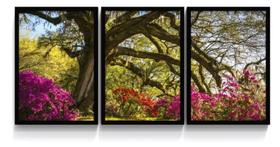 Conjunto Quadro Botanico Arvore Flor Paisagem"