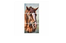 Conjunto Quadro Decorativo cavalos vertical"