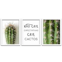 Conjunto Quadros Decorativos 3 peças 20x30 Cactos Conjunto Quadros Decorativos 3 peças 20x30 Cactos