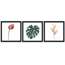 Conjunto Quadros Decorativos 3 peças 25x25 Flores e Folhas