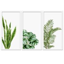 Conjunto Quadros Decorativos 3 peças 30x60 Folhas