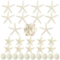 Conjunto Queekay 30 Resin Starfish and Sand Dollars de 5-12 cm