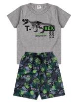 Conjunto roupa Infantil Menino Camiseta Bermuda Masculino T-rex