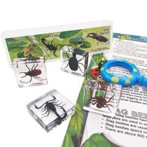Conjunto STEM WhizKidsLab 4 Real Bugs - Insetos e Aracnídeos com Lupa