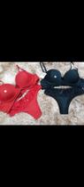 Conjunto sutiã