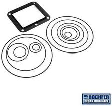 Conjunto Vedação Para Roda D'água Ms/msg-42/f/mse-32 Rochfer