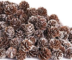 Conos de Pino Mini Naturales Navidad Deloky 400 unidades 2.5 cm