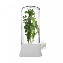 Conservador De Temperos Frescos Lyor Preserva Sabor E Frescor