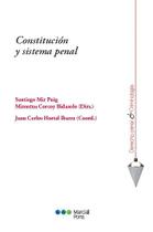 Constitución y sistema penal Constitución y sistema penal