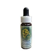 Conta-gotas de mostarda 0,25 oz da Flower Essence Services (pacote com 2)