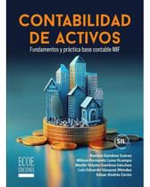 Contabilidad de activos. Fundamentos y práctica base contable NIIF - 1ra edición - Espanhol
