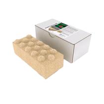 Continuum Exxodus Bac Bloco Bio Filtragem Continuum Exxodus Bac Bloco Bio Filtragem