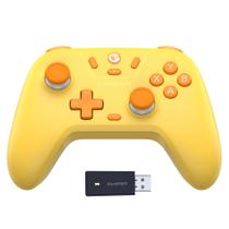 Controlador sem fio GameSir Nova Lite 2.4g para PC com Windows