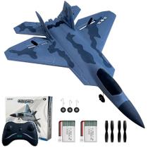 Controle remoto RC Airplane HAWK'S WORK F-22 2CH 2,4 GHz