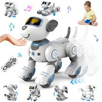 Controle remoto Robot Dog VATOS Touch & Follow 17 funções Controle remoto Robot Dog VATOS Touch & Follow 17 funções