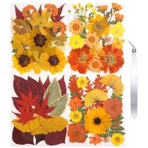 CONVELIFE 68 unidades de flores prensadas secas no outono com pinça