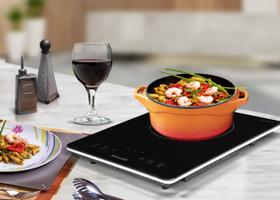 Cooktop portátil de indução 1 zona 127v suggar