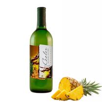 Cooler de abacaxi 720ml xv de novembro