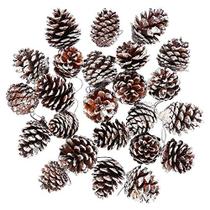Cooraby 24 peças de Natal pinhas ornamento pinhas naturais com pingente de corda artesanato para o presente tag árvore de Natal festa pendurada decoração (neve)