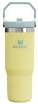 Copo Stanley IceFlow Flip Straw 900 ml de aço inoxidável isolado Copo Stanley IceFlow Flip Straw 900 ml de aço inoxidável isolado