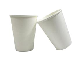 Copo Térmico Papel Biodegradável Branco 250 Ml S/ Tampa 100 Unid.