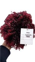 Coque Afro Puff orgânico 90g