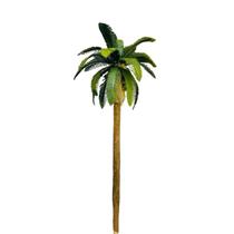 Coqueiro 17 cm QT96R5VFW