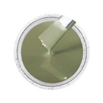 Cor Sólida Cinza Oliva Ag - Ral7002 100G