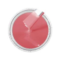 Cor Sólida Rosa Ag - Ral3017 10G