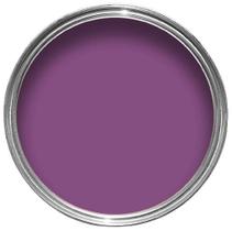 Cor Sólida Roxo Sinal Ag - Ral4008 100G