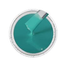 Cor Sólida ul Turquesa Ag - Ral5018 50G