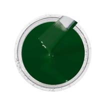 Cor Sólida Verde Musgo Ag - Ral 6005 100G