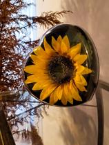 Coração Encantado Flores Rosa Girassol Presente perfeito