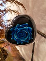 Coração Encantado Flores Rosa Girassol Presente perfeito