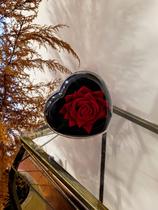 Coração Encantado Flores Rosa Girassol Presente perfeito