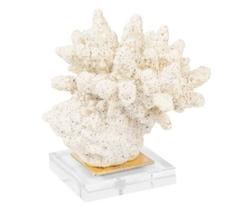Coral de Mesa Anemona Decorativa Resina Rosê C Base Acrilica Coral de Mesa Anemona Decorativa Resina Rosê C Base Acrilica