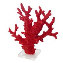 Coral Decorativo Vermelho c Base Transparente