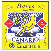 Corda para Contrabaixo Giannini GESBX5 0.40-0.125 Super Leve Corda para Contrabaixo Giannini GESBX5 0.40-0.125 Super Leve