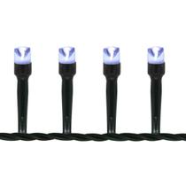 Cordão 100 Lâmpadas Led 8,3M Luz Branca Fixa 220V
