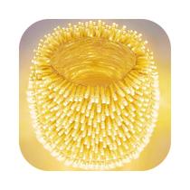 Cordão 1000 Leds Com 8 funções 90 Metros Prova D'água Fio Transparente Natal Bivolt