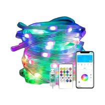 Cordão De Luzes LED RGB USB Com Controle Remoto Bluetooth À Prova d'Água WS2812B Para Decoração De