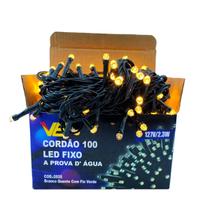 Cordão Luzes 100 Leds Fixo 10m Branco Quente Fio Verde 127V Decoração Luz de Natal