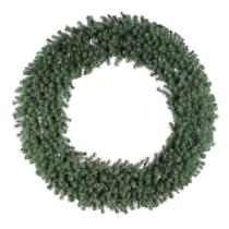 Coroa de Natal Vickerman Douglas Fir 60cm com 900 pontas de PVC Coroa de Natal Vickerman Douglas Fir 60cm com 900 pontas de PVC
