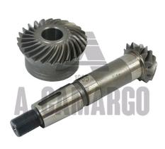 Coroa e pinhao (13x25) 60200502232