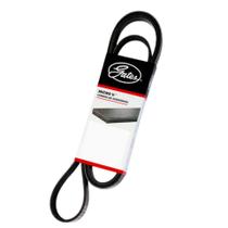 Correia 8PK 0975 Gates/Continental - Original