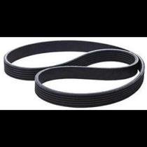 Correia acessórios Poly V Ford Focus 2004 a 2019 Dayco