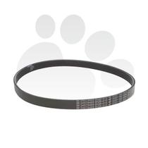 Correia Alternador Ar-condicionado Orig Onix Ate 2022 Ama24579489 Correia Alternador Ar-condicionado Orig Onix Ate 2022 Ama24579489