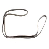 Correia Alternador Poly V CLASSE C 1995 a 2015 - 14443 - 6PK2175