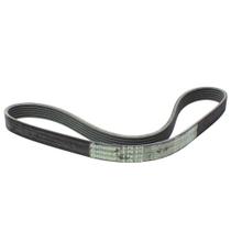 Correia - Continental - 6PK0875 Correia - Continental - 6PK0875