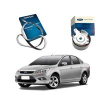 Correia Dentada Tensor Focus Sedan 1.6 16v 2009 A 2012